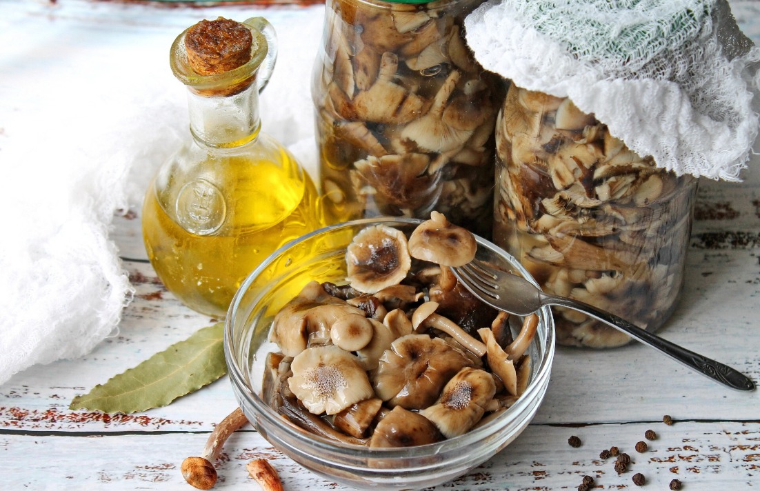 Marinuoti grybai žiemai Receptas su nuotraukomis