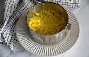 Ant svogūnų dėkite antrą pusę bulvių sluoksnio.