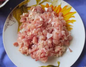 Vištieną smulkiai supjaustykite.