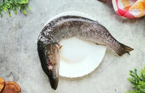 Lydekos uodegos dalį ir pelekus nukirpkite, nepažeisdami odos. Pašalinkite akis, nuvalykite žvynus ir nuplaukite šaltu vandeniu. Žuvį nus...