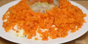 Tuomet tolygiai sudėkite morkas, pasūdykite. Sluoksnį patepkite šaukštu majonezo.