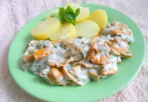 Kaip garnyrą galite virti jaunas bulves. Skanaus!