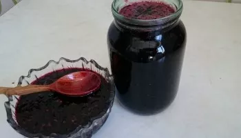 Mėlynių uogienė be virimo