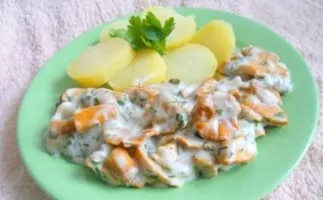 Voveraitės grietinės padaže